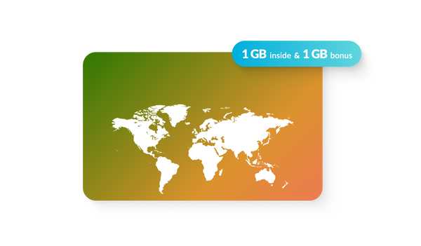 Lifetime World SIM Card — manufacturer product image